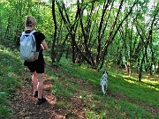 18 Nel bosco di prevalenti carpini neri